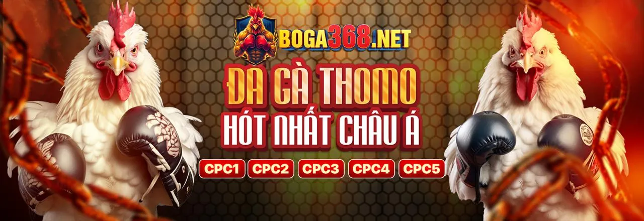 Hình ảnh đại diện cho Điều Khoản Dịch Vụ của suncity888 info